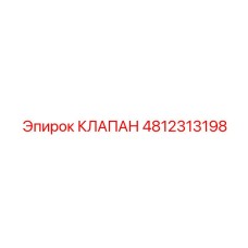 4812313198 Клапан Epiroc