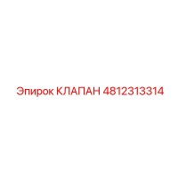 4812313314 КЛАПАН Epiroc