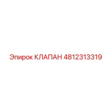 4812313319 Клапан Epiroc