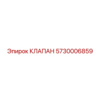 5730006859 КЛАПАН Эпирок