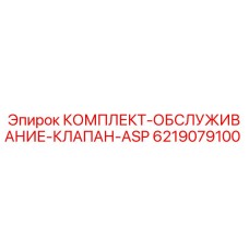 Оригинальный комплект клапана ASP 6219079100 Epiroc