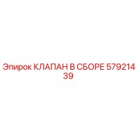 57921439 КЛАПАН В СБОРЕ Epiroc