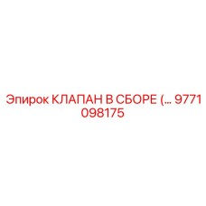 9771098175 КЛАПАН В СБОРЕ (ASSEMBLY) Epiroc