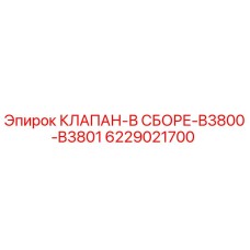 6229021700 КЛАПАН-В СБОРЕ-B3800-B3801 Epiroc
