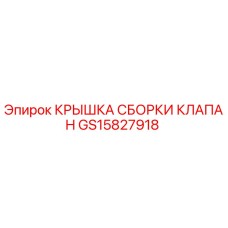 GS15827918 КРЫШКА СБОРКИ КЛАПАН Epiroc
