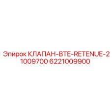6221009900 КЛАПАН-BTE-RETENUE-21009700 Epiroc