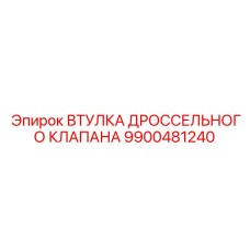 9900481240 ВТУЛКА ДРОССЕЛЬНОГО КЛАПАНА Epiroc