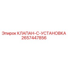 2657447856 КЛАПАН-C-УСТАНОВКА Epiroc