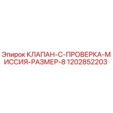 1202852203 КЛАПАН-C-ПРОВЕРКА-МИССИЯ-РАЗМЕР-8 Epiroc