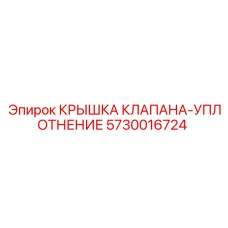 5730016724 КРЫШКА КЛАПАНА-УПЛОТНЕНИЕ Epiroc