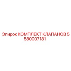 Изображение комплекта клапанов Epiroc 5580007181