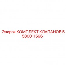 Комплект гидравлических клапанов для тяжелой техники 5580011596