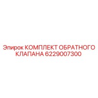 6229007300 КОМПЛЕКТ ОБРАТНОГО КЛАПАНА Epiroc