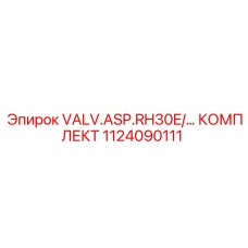 1124090111 VALV.ASP.RH30E/… КОМПЛЕКТ (Epiroc)