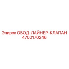 4700170246 ОБОД ЛАЙНЕР КЛАПАН Эпирок