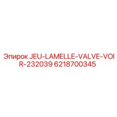 6218700345 JEU-LAMELLE-VALVE-VOIR-232039 Epiroc