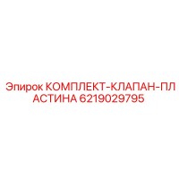 6219029795 КОМПЛЕКТ-КЛАПАН-ПЛАСТИНА Epiroc