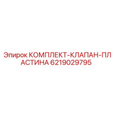 6219029795 КОМПЛЕКТ-КЛАПАН-ПЛАСТИНА Epiroc