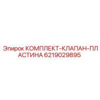 6219029895 КОМПЛЕКТ-КЛАПАН-ПЛАСТИНА Epiroc