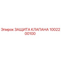 1002200100 ЗАЩИТА КЛАПАНА Epiroc