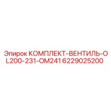 6229025200 КОМПЛЕКТ-ВЕНТИЛЬ-OL200-231-OM241 Epiroc