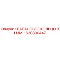 1630800447 КЛАПАНОВОЕ КОЛЬЦО 81 ММ. Epiroc