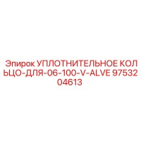 9753204613 УПЛОТНИТЕЛЬНОЕ КОЛЬЦО-ДЛЯ-06-100-V-ALVE Epiroc