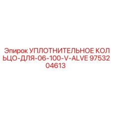 9753204613 УПЛОТНИТЕЛЬНОЕ КОЛЬЦО-ДЛЯ-06-100-V-ALVE Epiroc