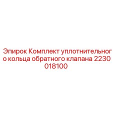 2230018100 Комплект уплотнительного кольца обратного клапана Epiroc