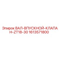 1613571800 ВАЛ-ВПУСКНОЙ-КЛАПАН-ZT18-30 Epiroc