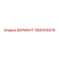 1900316576 ВАРИАНТ Epiroc