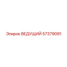 ВЕДУЩИЙ ВАЛ Epiroc 57379091 - техническое фото