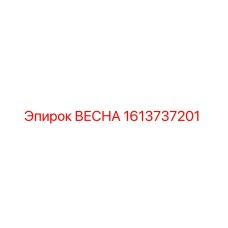 1613737201 ВЕСНА Эпирок (Epiroc)