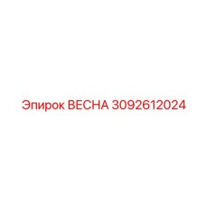 3092612024 ВЕСНА Epiroc