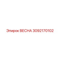 3092170102 ВЕСНА Epiroc