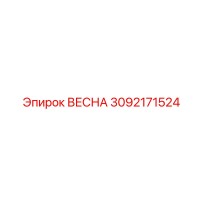3092171524 ВЕСНА Epiroc