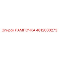 4812000273 ЛАМПОЧКА Epiroc