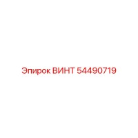 54490719 ВИНТ Epiroc