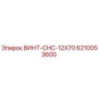 6210053600 ВИНТ-CHC-12X70 Epiroc