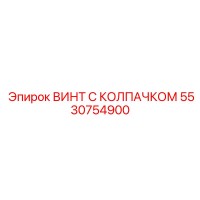 5530754900 ВИНТ С КОЛПАЧКОМ Epiroc