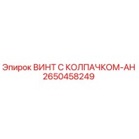2650458249 ВИНТ С КОЛПАЧКОМ-AH Epiroc
