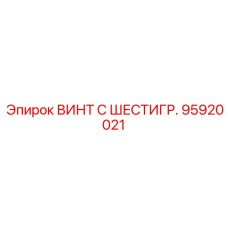95920021 ВИНТ С ШЕСТИГР. - Epiroc