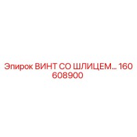 160608900 ВИНТ СО ШЛИЦЕМ Epiroc