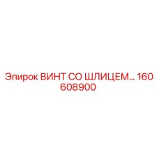 160608900 ВИНТ СО ШЛИЦЕМ Epiroc