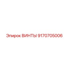 9170705006 ВИНТЫ Epiroc