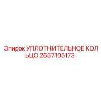 2657105173 УПЛОТНИТЕЛЬНОЕ КОЛЬЦО Epiroc