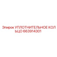 663914301 УПЛОТНИТЕЛЬНОЕ КОЛЬЦО Epiroc