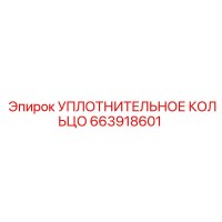 663918601 Уплотнительное кольцо Epiroc