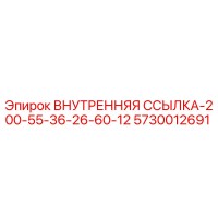 5730012691 ВНУТРЕННЯЯ ССЫЛКА-200-55-36-26-60-12 Epiroc
