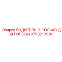 9753213999 ВОДИТЕЛЬ-2-ТОЛЬКО ДЛЯ ГОЛОВЫ Epiroc